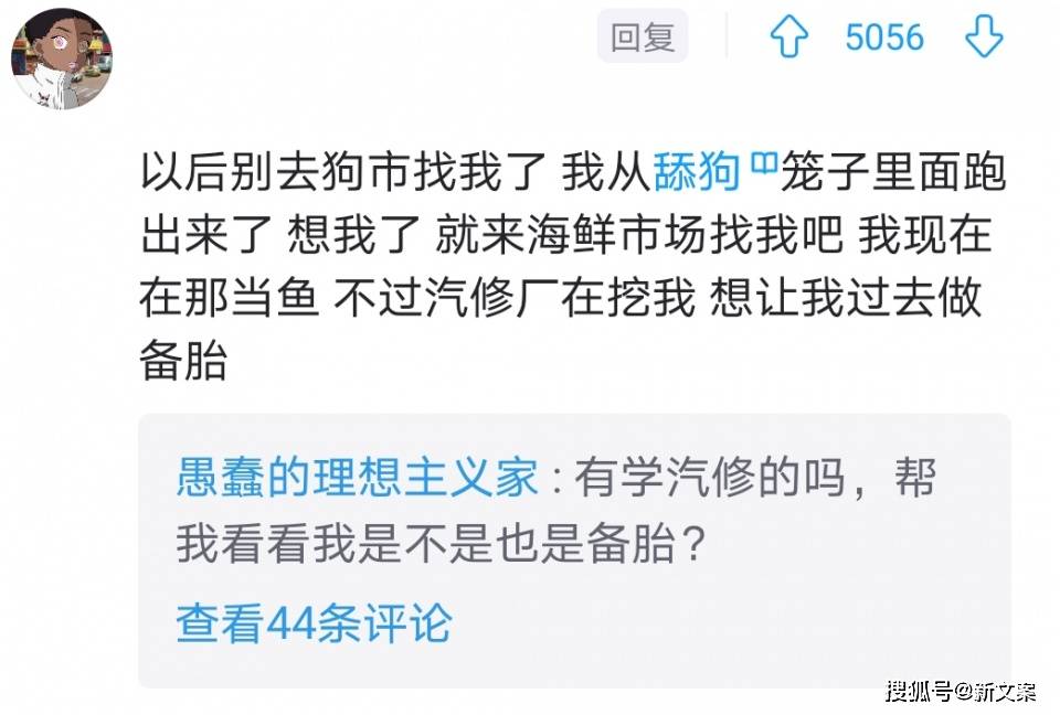 原创分享一波搞笑沙雕文案,哈哈不行了,笑yue了