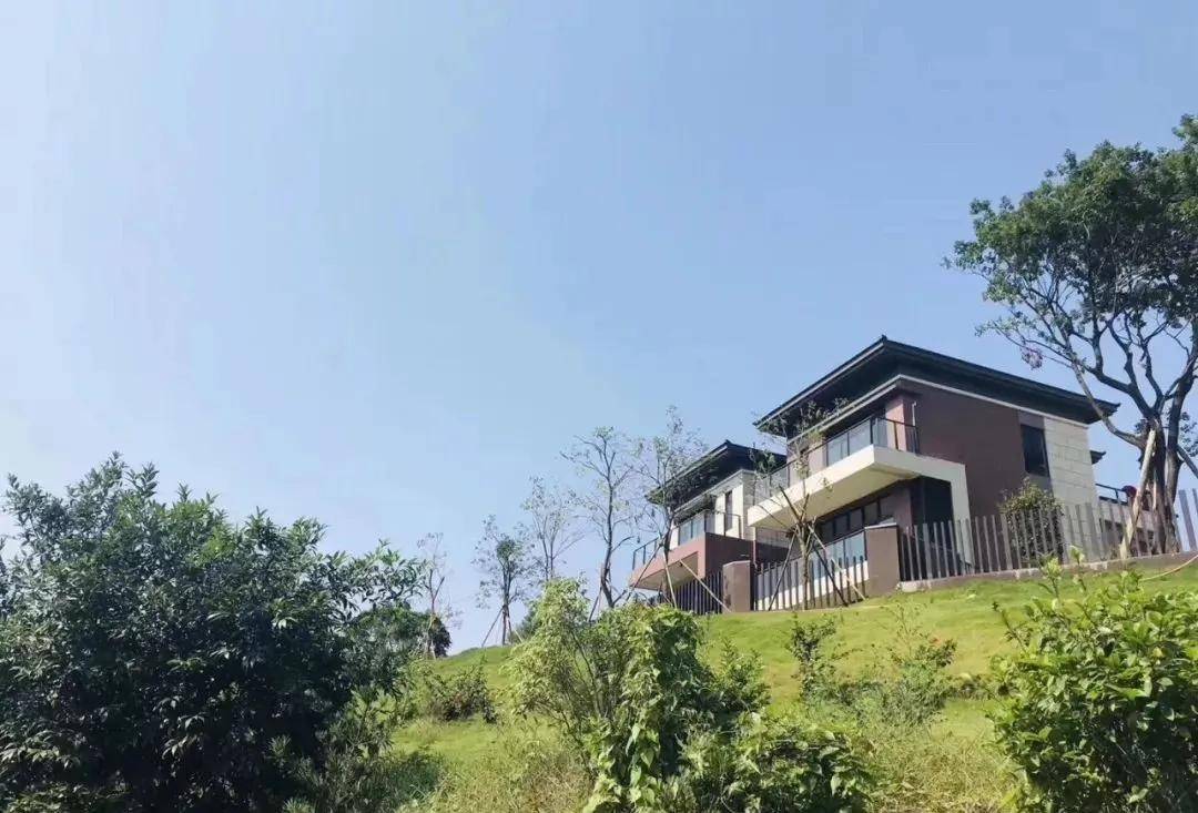 惠州星河山海半岛怎么样昨天亲自到踩盘了没有那么好进来谈谈个人感受