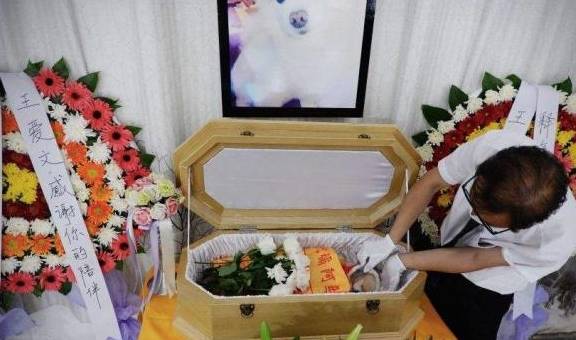 美女模特成为宠物殡葬师,三年安葬数百只宠物