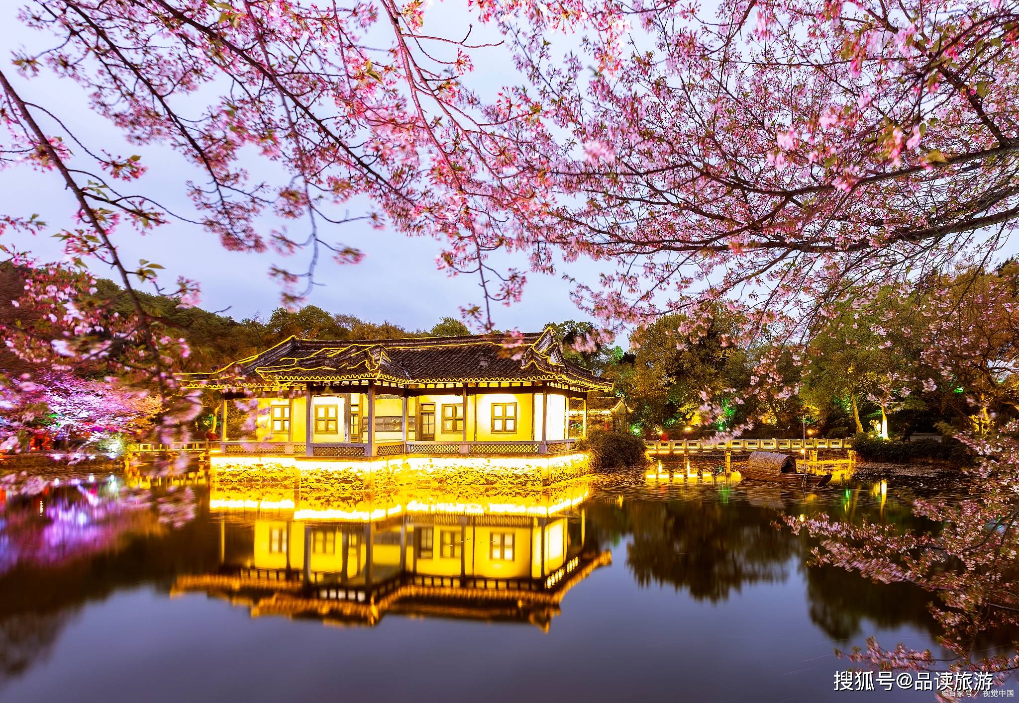 鼋头渚遇见最美春景,这条赏樱路线可避开游客,不比日本樱花差