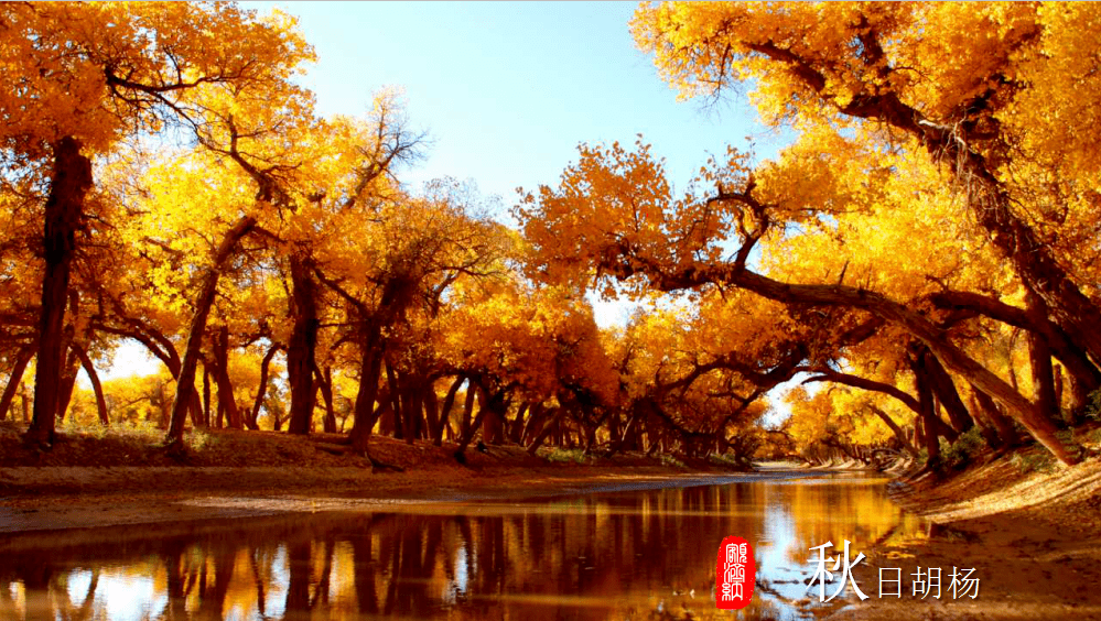 推荐| 六条特色旅游线路,带您畅游秘境额济纳