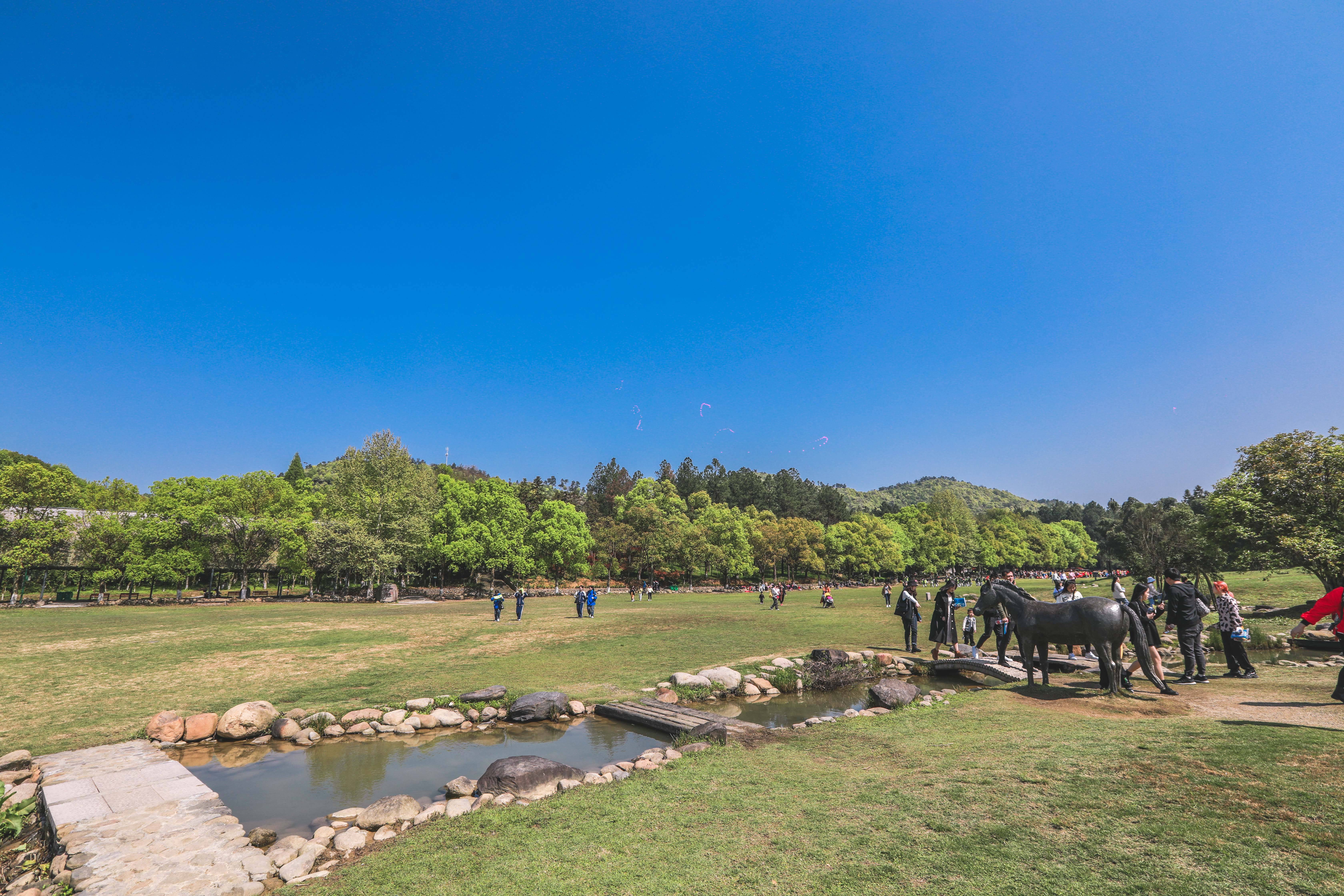 原创4月来浙江安吉,走进中南百草原,体验动植物王国的神奇魅力