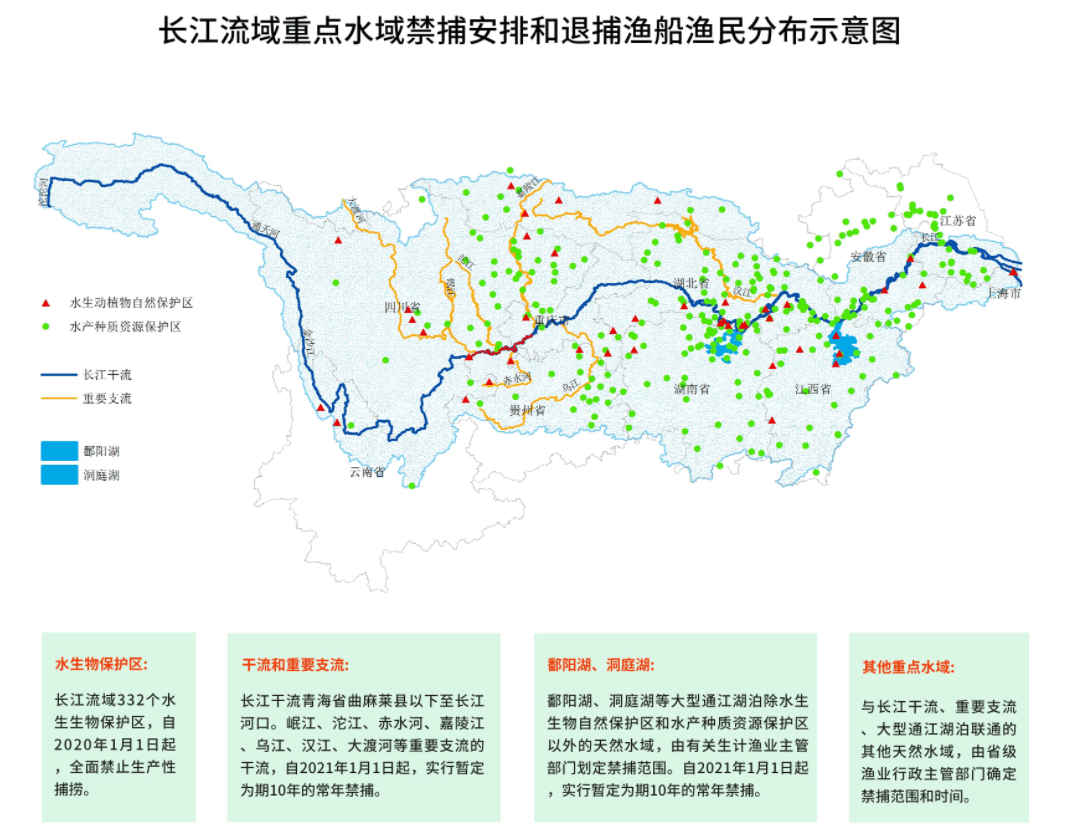 淡水鱼王水中大熊猫长江南京段发现极危达氏鳇禁捕见成效了