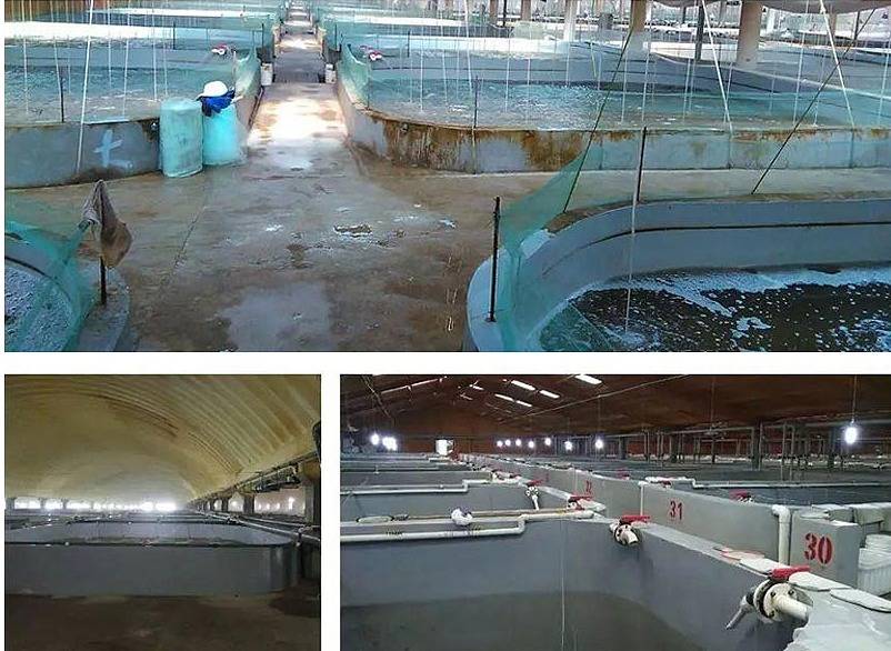 ③工厂化循环水恒温热源设备的挑选传统的水产养殖恒温设备主要是