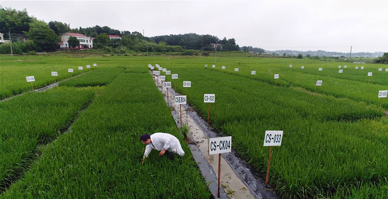 北京欧倍尔研发耕地土壤镉污染钝化修复虚拟仿真实验促进环境专业教育