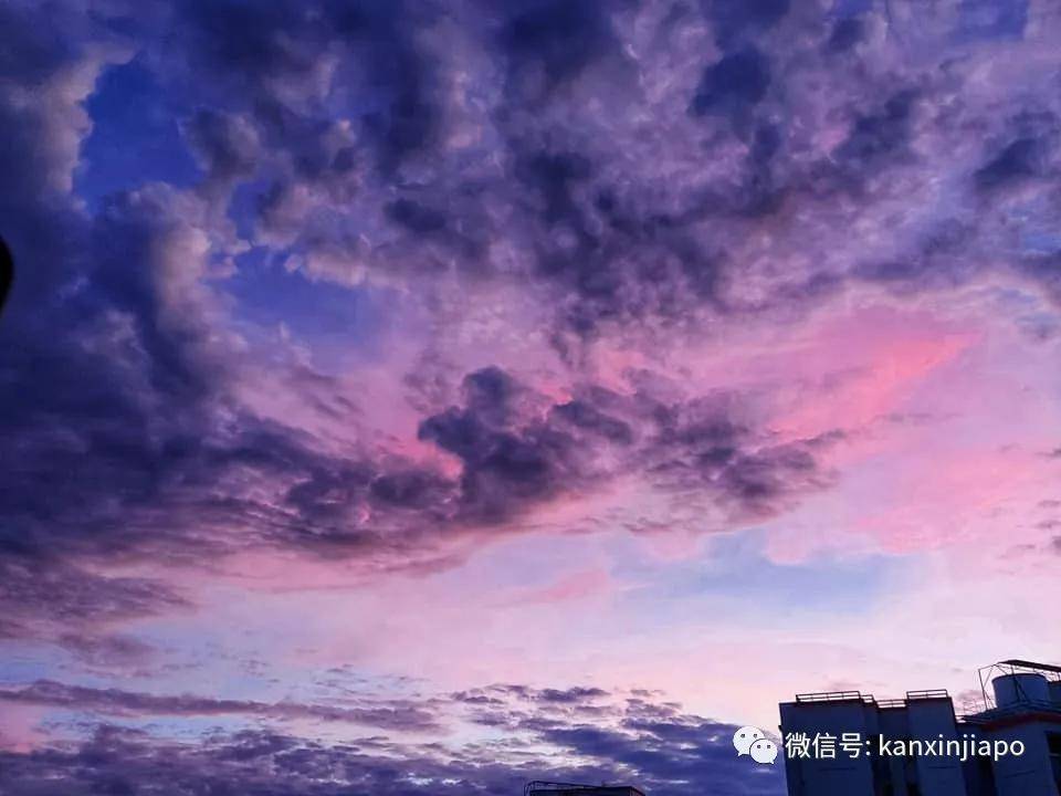 新加坡清晨出现粉紫色"神仙"天空!大波美图惊艳全岛