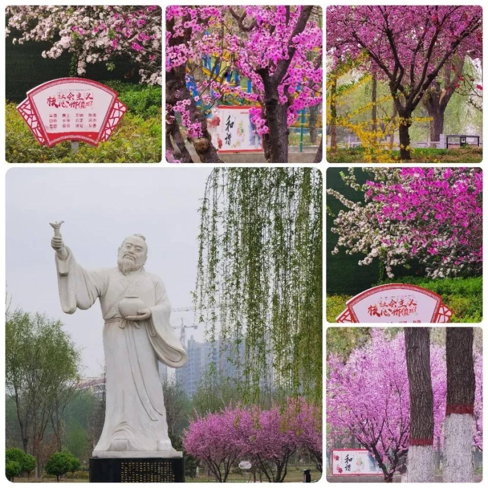 2021-04-25 18:45来源: 徐水吧