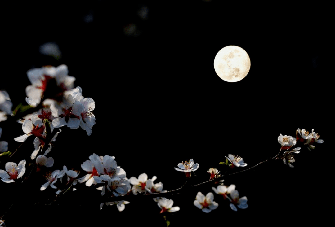 诗词鉴赏春宵一刻值千金十首春夜的诗词飘着淡淡花香的味道