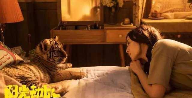 华谊兄弟救命稻草:《阳光劫匪》即将上映,票房能突破10亿吗?