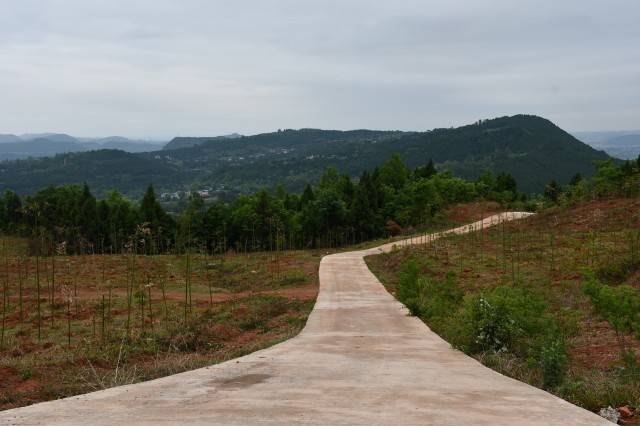 富兴镇柳林沟村