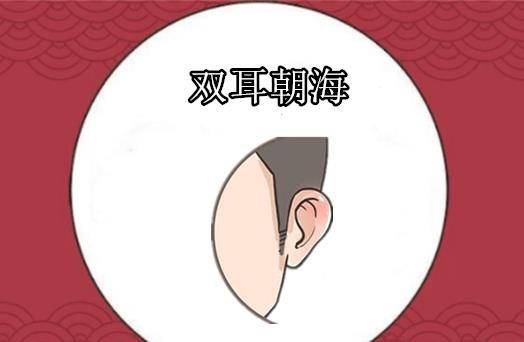则往往拥有此种耳相的人,大多数家里的经济状况会非常的不错,有好的口