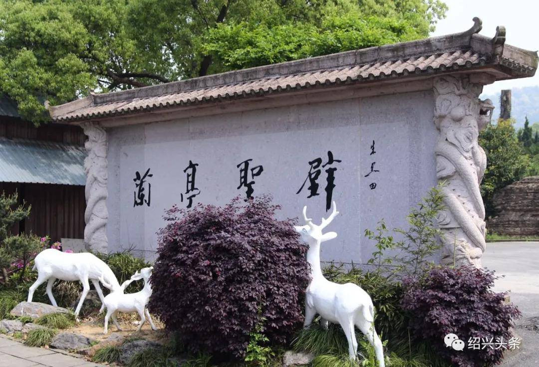 据绍兴兰亭森林动物主题度假区消息,绍兴首个野生动物世界 预计于2022