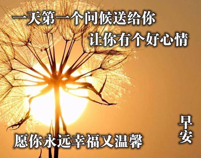 早上好温馨祝福词句带字图片幸福的秘诀只感恩现在早安