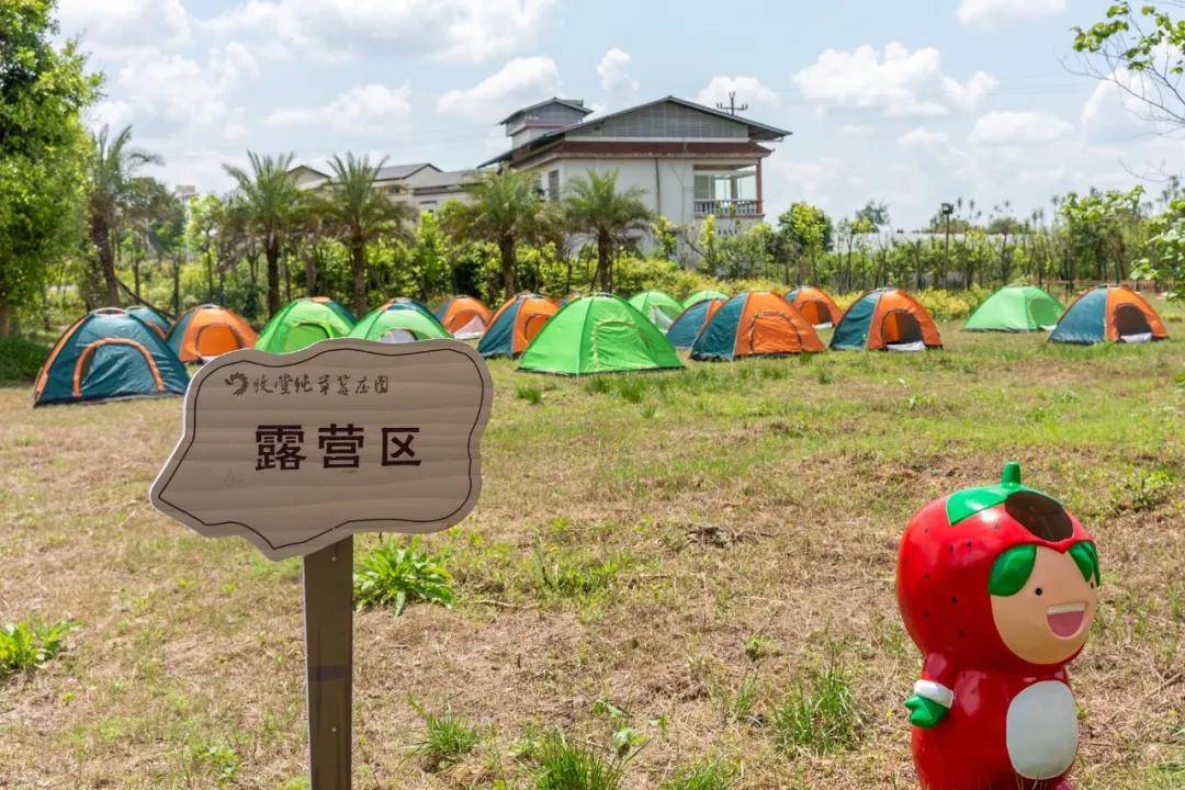 水果大餐,烧烤露营,摘草莓,1h刹拢五一去正合适!