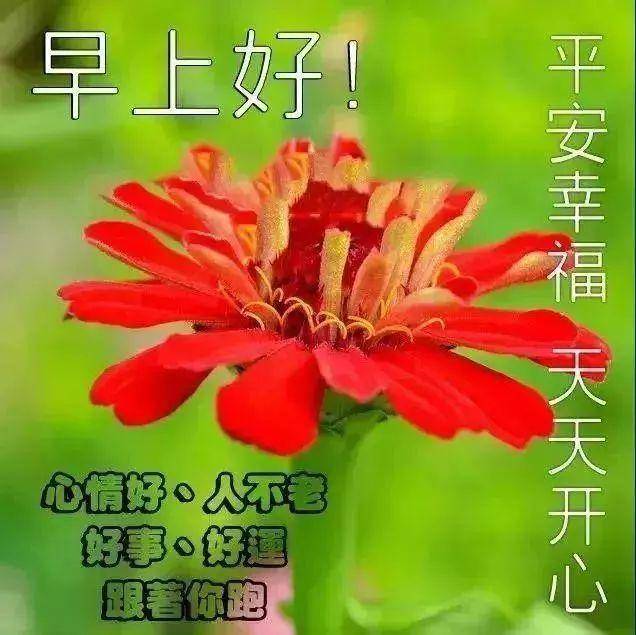 2021年最新免打字就可以聊天的早上好动态表情带祝福语图片合集