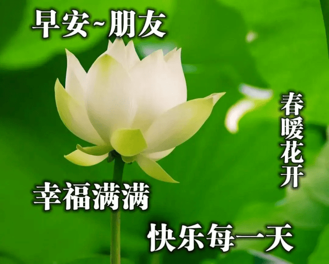 原创站在微光的清晨,送去我最真挚的祝福,亲爱的朋友早安,祝愿你一生