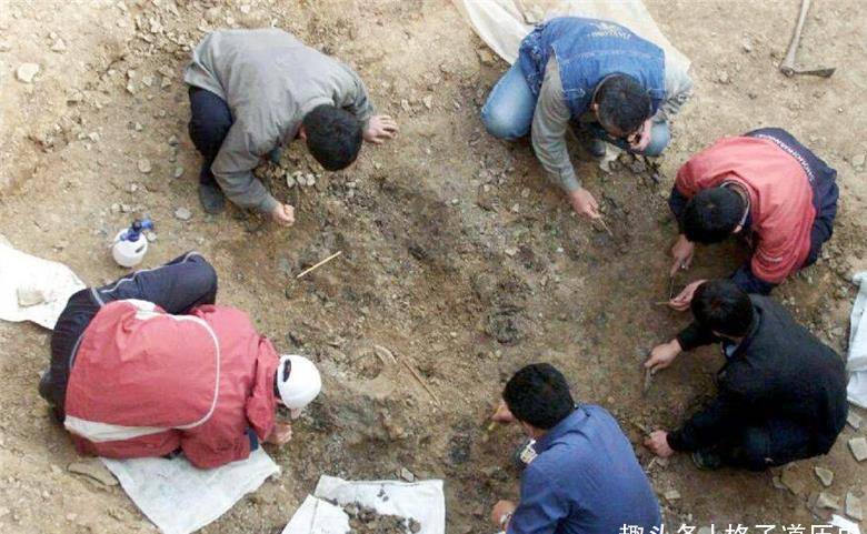 陕西发现一唐朝古墓,揭开了太子李弘死亡之谜,专家:史书没骗人