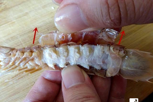 剥撒尿虾最快速的方法,最后一个太完美了!