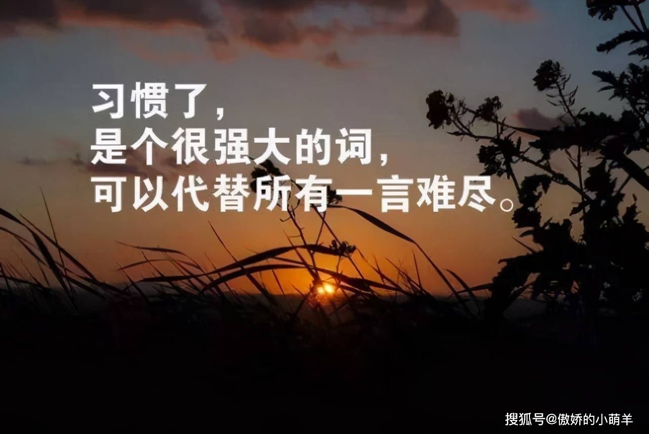 反心灵鸡汤语录,另一种人生哲学,生活态度