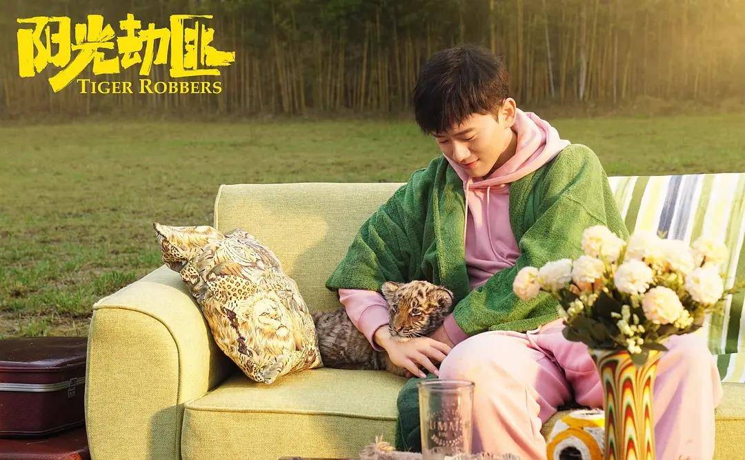 《阳光劫匪》观后感:马丽的独角戏