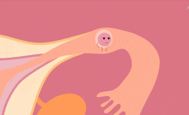 去医院前,一定要做好这件事