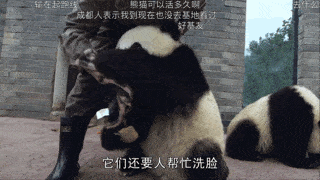 吸猫撸狗大法好,节后回血两步走!