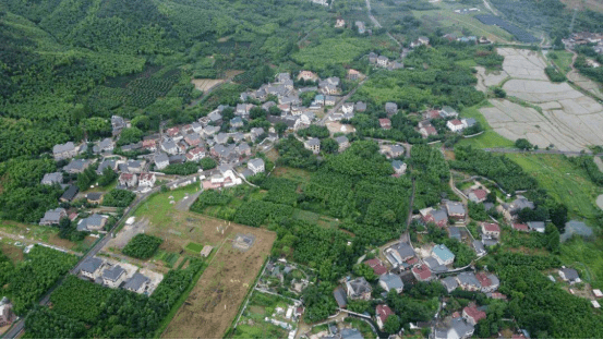 浙江余杭黄湖镇青山村,三面环山,其间的龙坞水库区是杭州地区无污染源