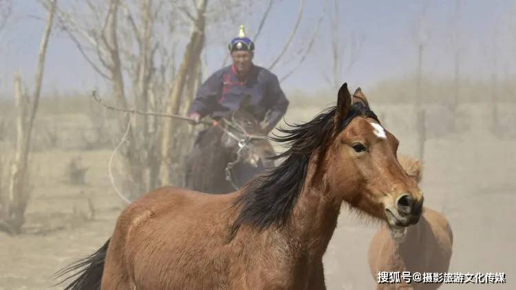 睿道影像|我套马的蒙古族兄弟