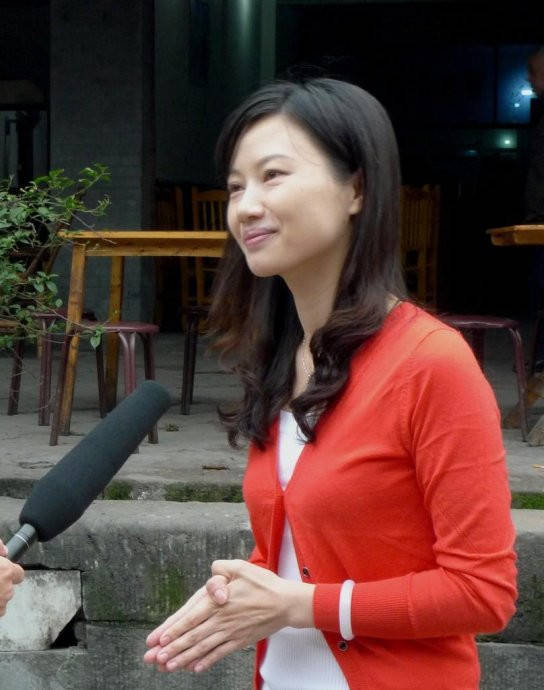 她是文学博士,现任中南大学文学与新闻传播学院教授,博士生导师,中国