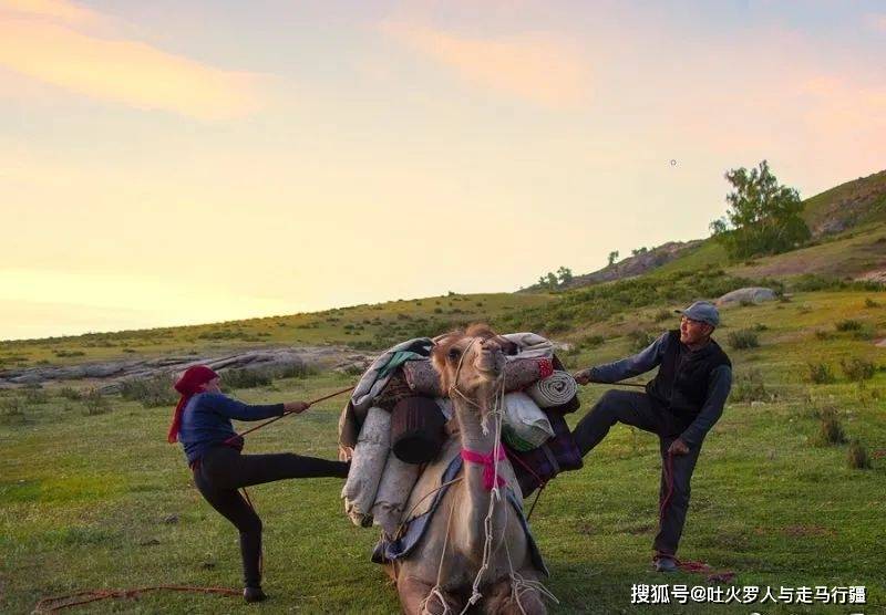 这里的每一条牧道,与李娟曾经走过的那些"羊道(请参看李娟《羊道》