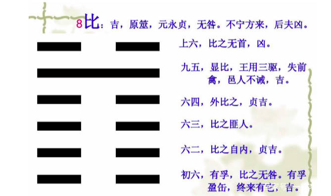 有没有一德水地比卦六四爻辞外比九五爻辞显比详解动物