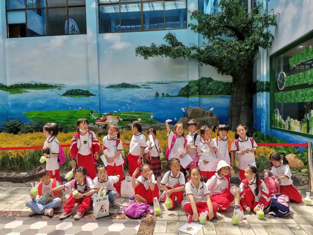 九江市外国语实验小学到礼涞景区开展"践行劳动教育,传承农耕文化"