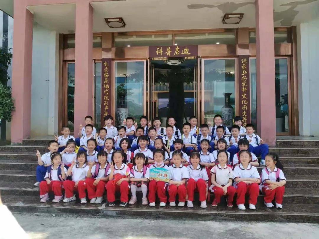 九江市外国语实验小学到礼涞景区开展"践行劳动教育,传承农耕文化"