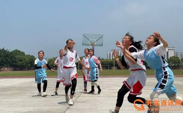 喜报成都三岔湖小学女子篮球队在东部新区篮球比赛中问鼎桂冠