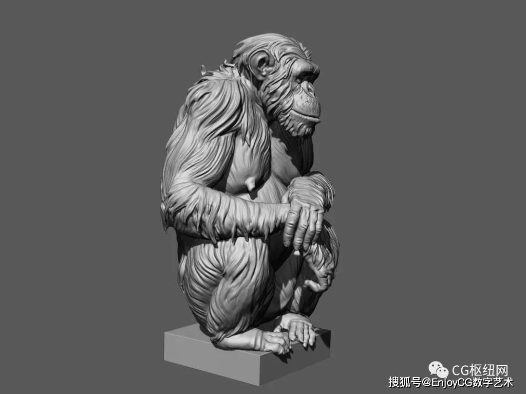 zbrush动物雕刻cg必备