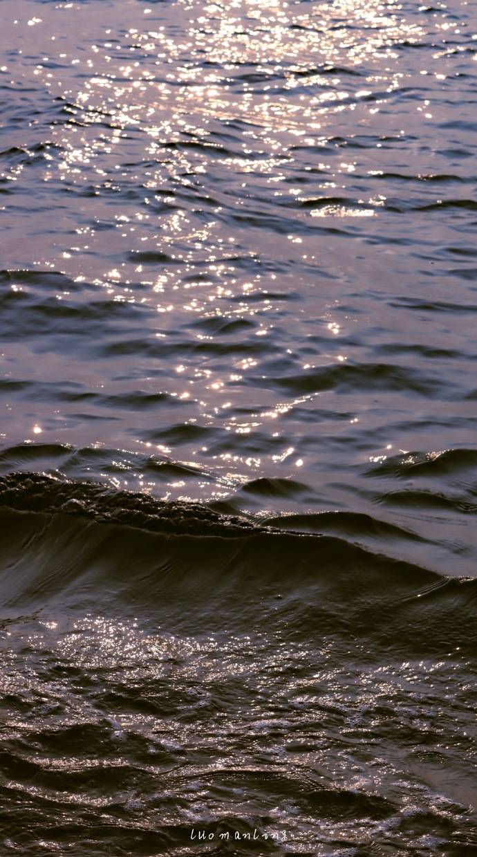 沧海