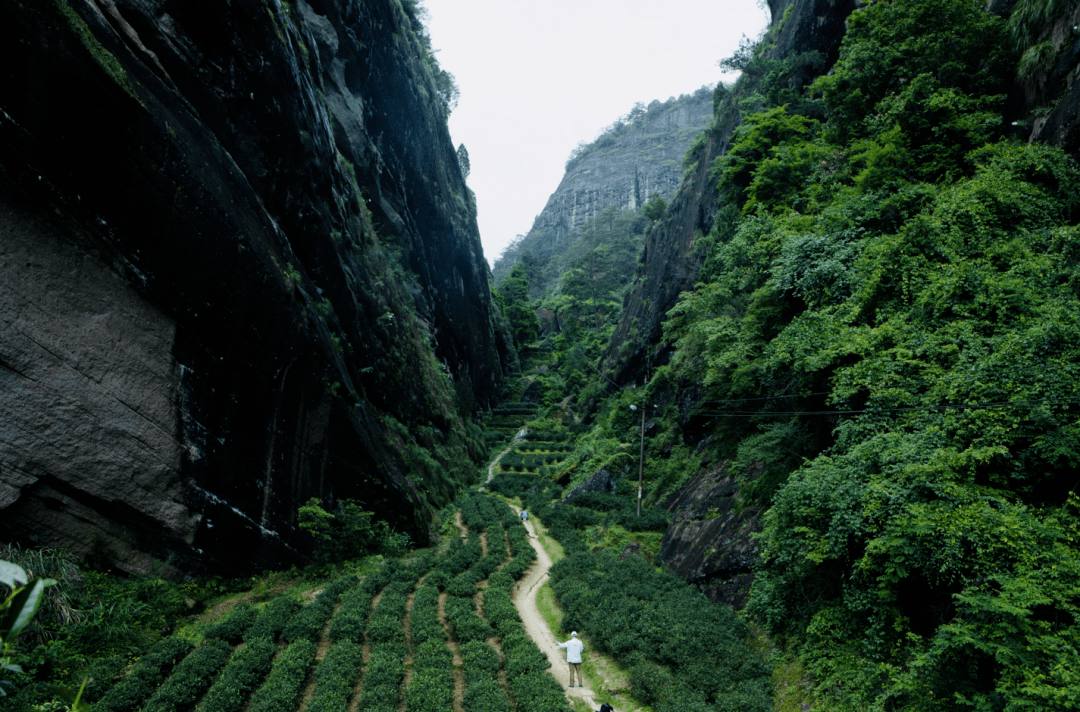 岩霸不一般|各路大v探寻"三天两夜"的秘密_牛栏坑