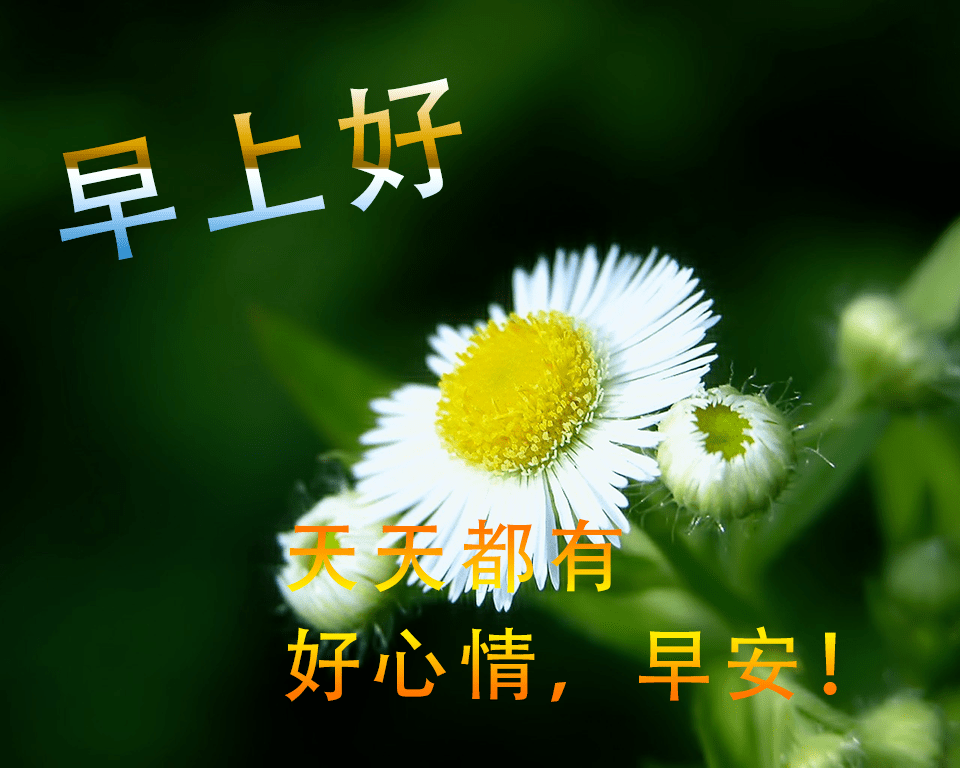 春天早安2021最新图片,冬天早安2021最新图片 2021年最新特别漂亮的免打字早安图片,创意温馨的早安