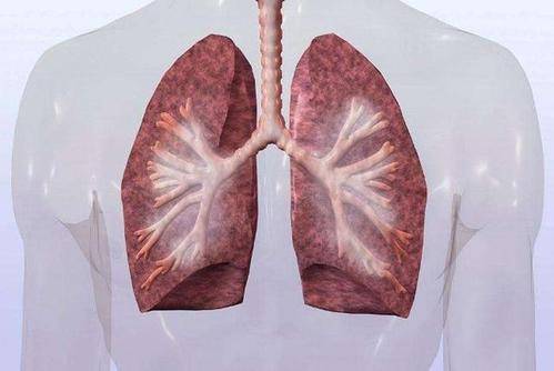 原创肺不好的人,手上或有4个现象,若没有,恭喜,肺或许还不赖