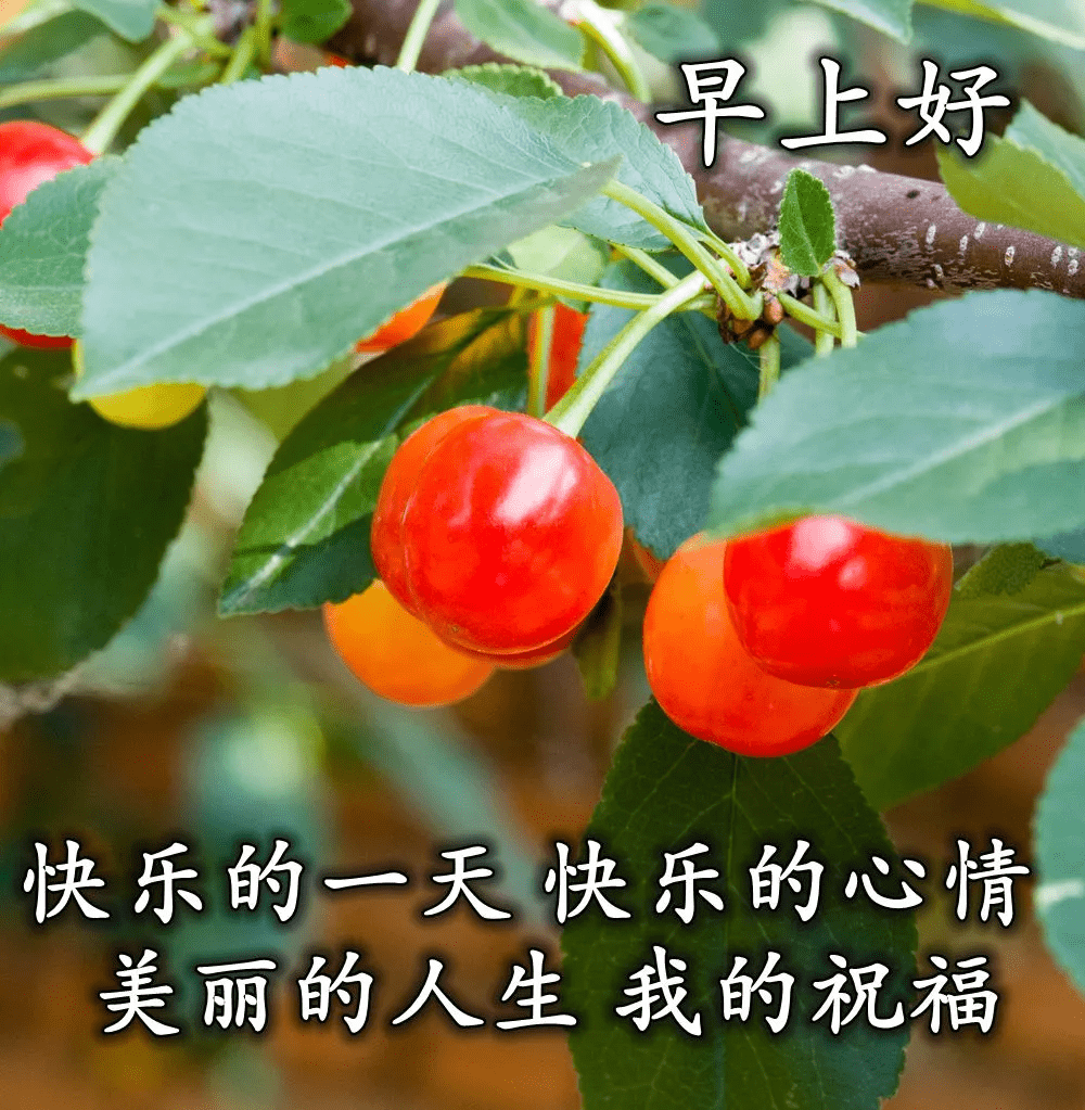 幸福满满的早安动态图片,早上好动态表情包大全