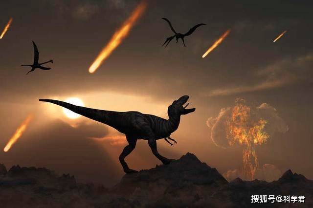 人类是如何登顶地球霸主的?