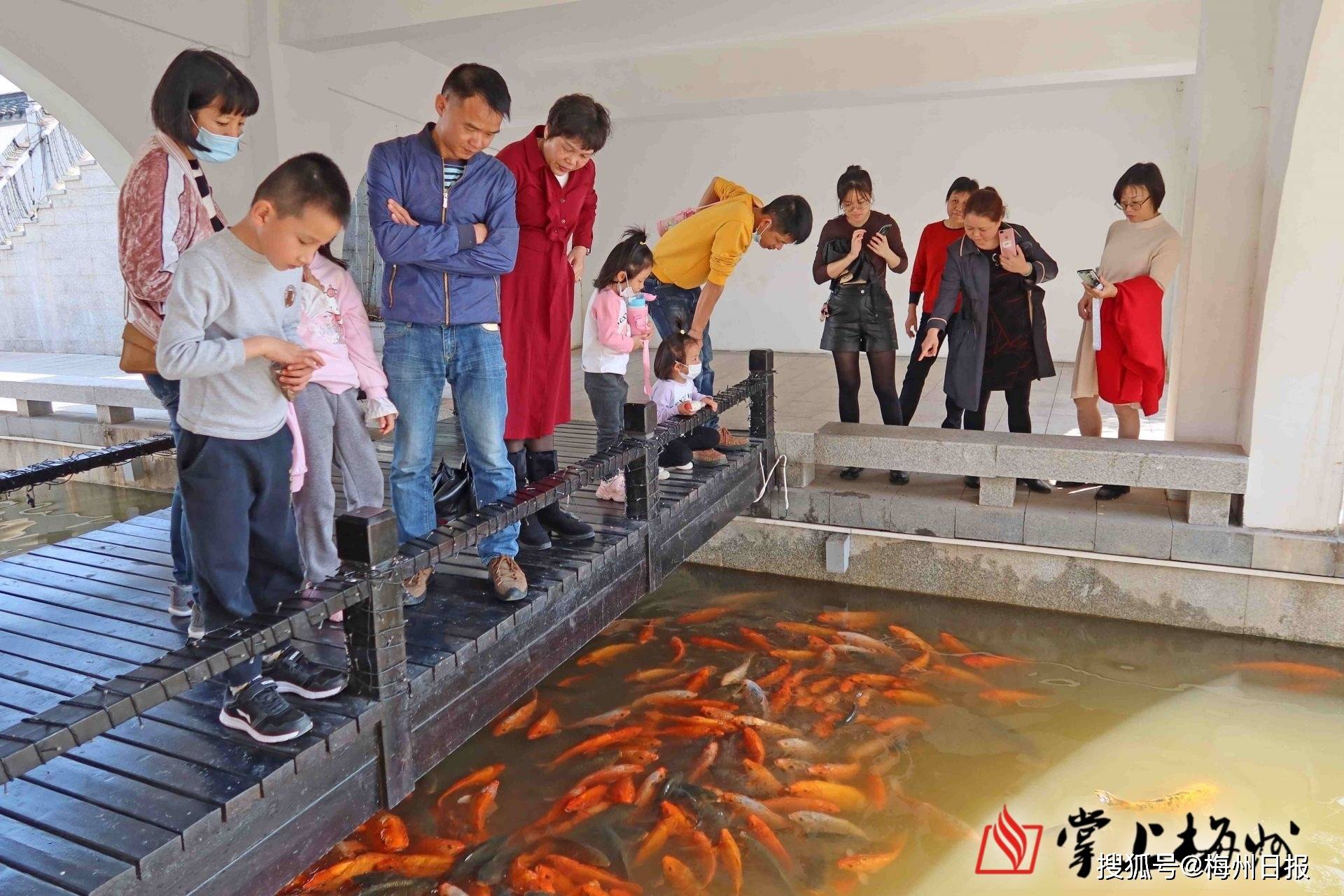 在玖崇湖温泉特色小镇,小朋友喂鱼引来众多游客观赏(钟幸钰 摄)