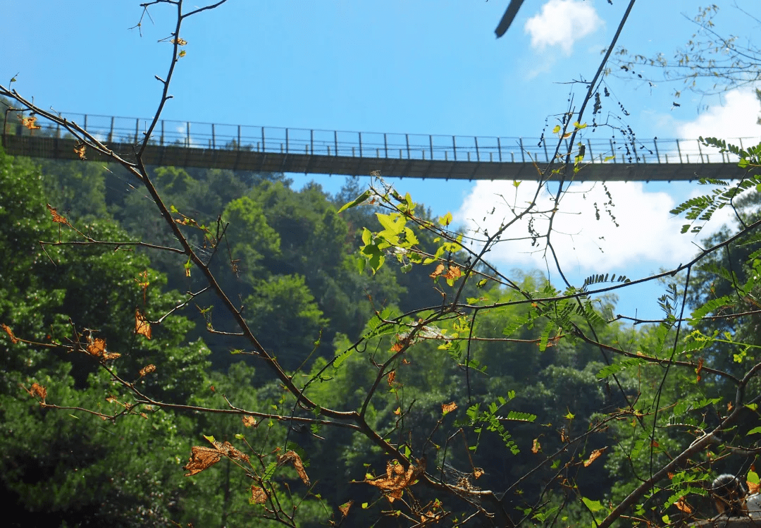 "天下冰臼"——十八涡 磐安十八涡景区又叫夹溪风景区,浙中大峡谷,是