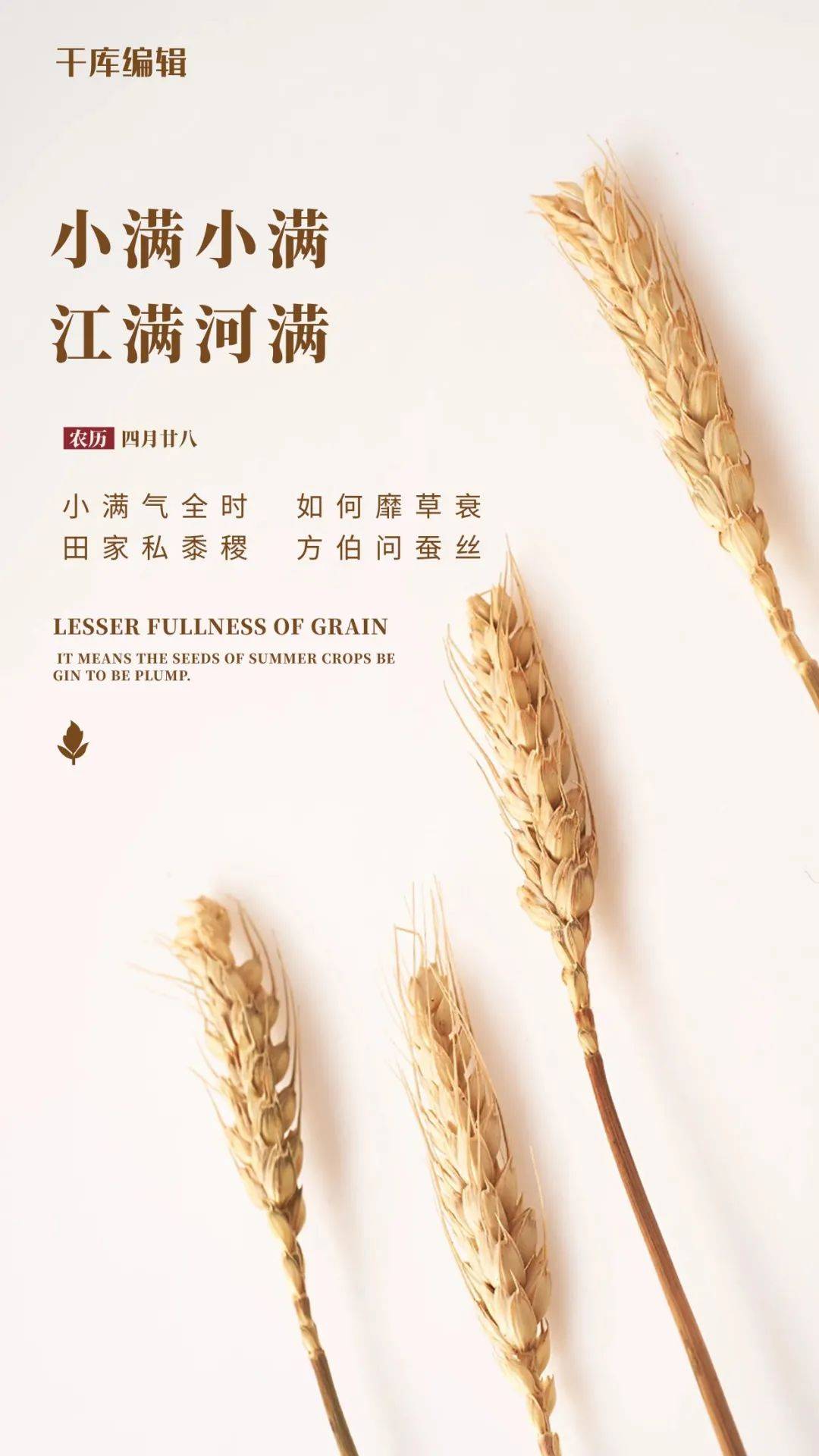 小满| 将满未满,最美小满