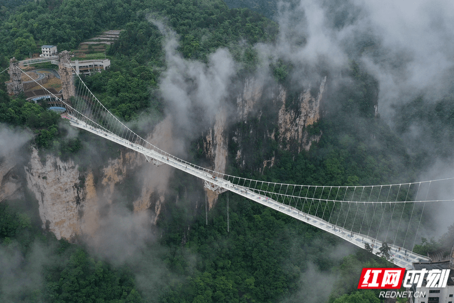 张家界高山峡谷间雾漫玻璃桥
