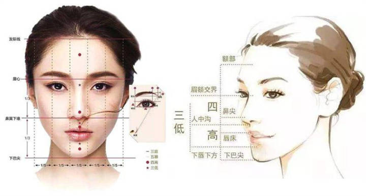 五眼:指脸的宽度比例,以眼形长度为单位,把脸的宽度分成五个等分,从
