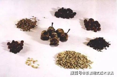 专家解经过解刨其尸体后发现辛追进食甜瓜时,食道里卡住了138颗甜瓜子