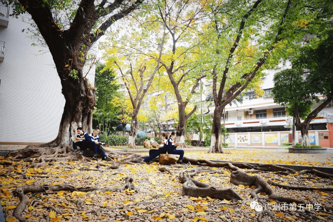 广州五中是广州市解放后政府创办的第一所完全中学,是海珠区第一所