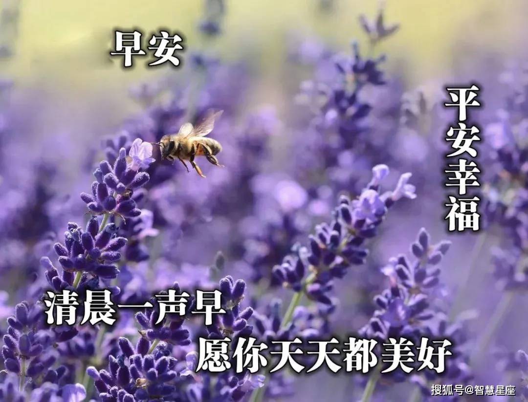 5月23日天气炎热新版,亲们早安动态图片问候:生活在于