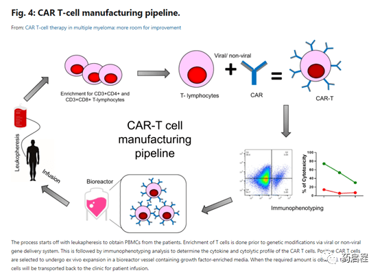 多发性骨髓瘤的cart细胞疗法
